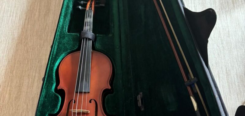 Violina