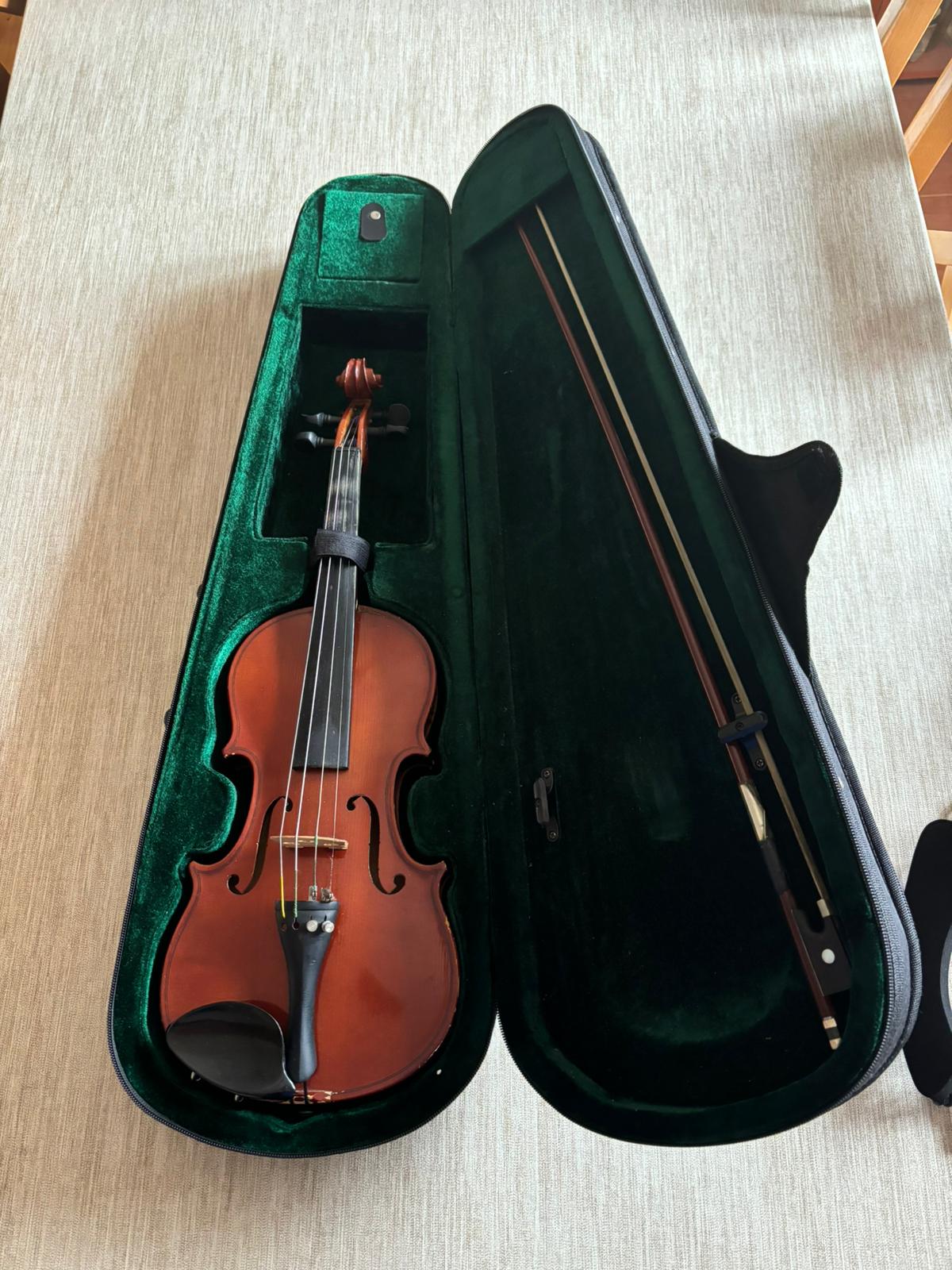 Violina
