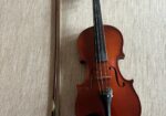 Violina