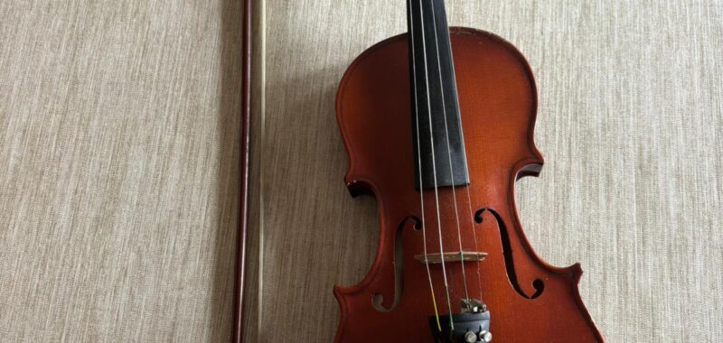 Violina