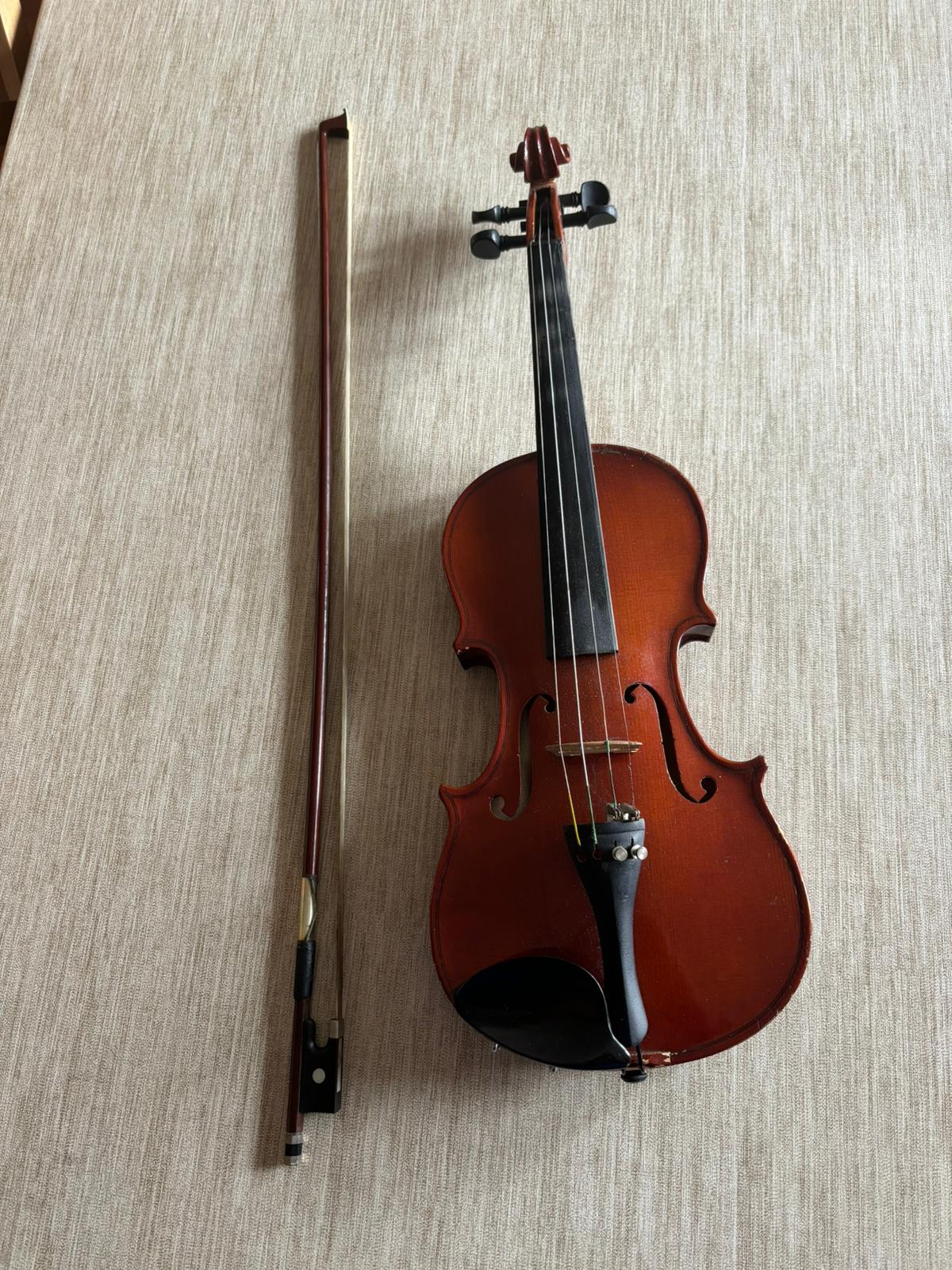 Violina