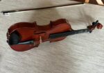 Violina
