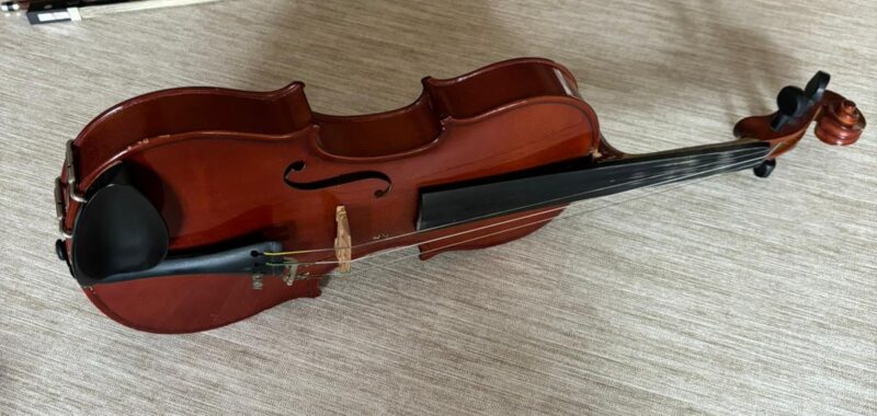 Violina
