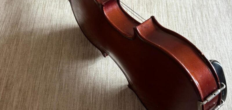 Violina