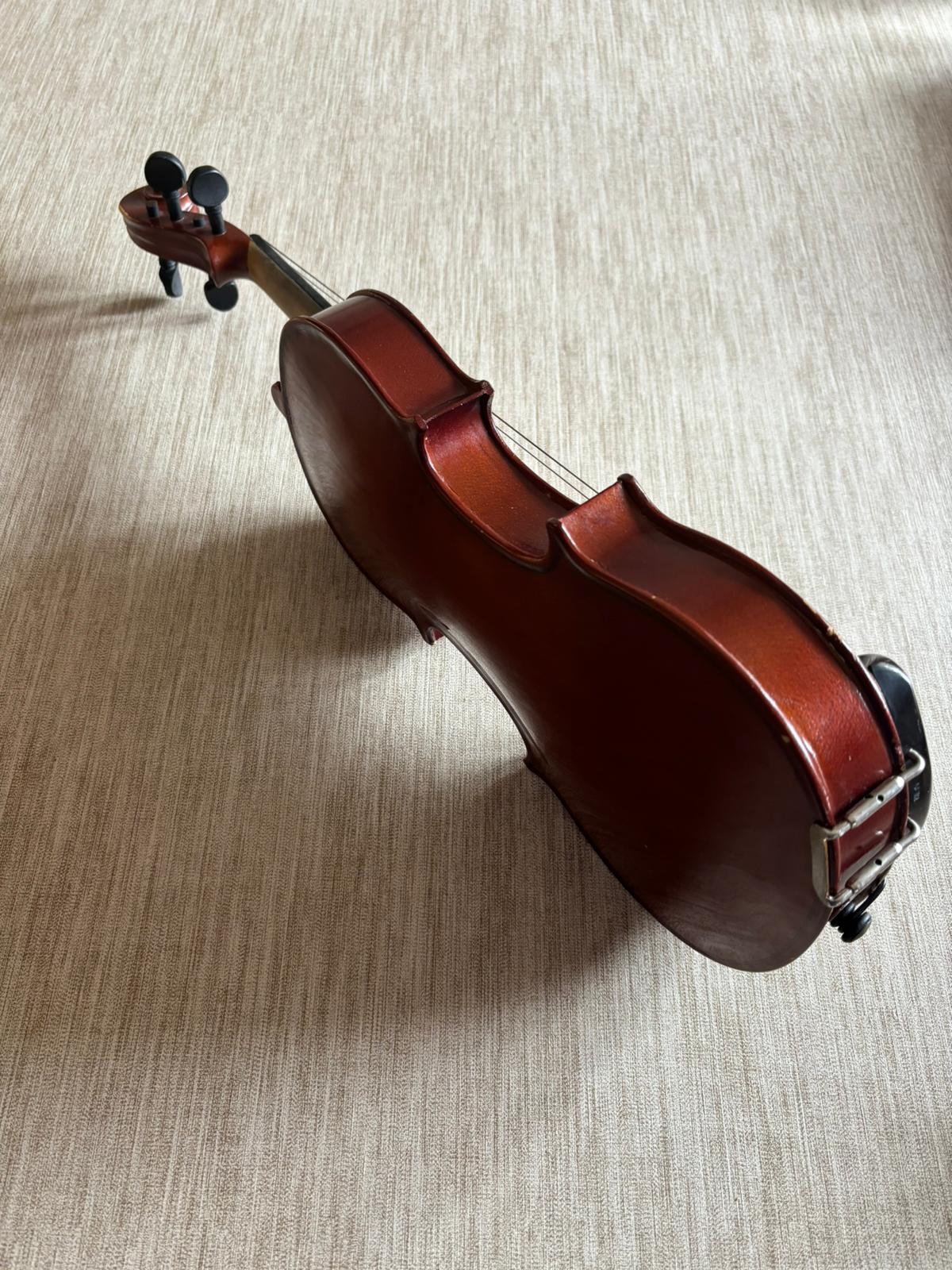 Violina