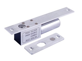 Elektricna brava – bolt 800kg