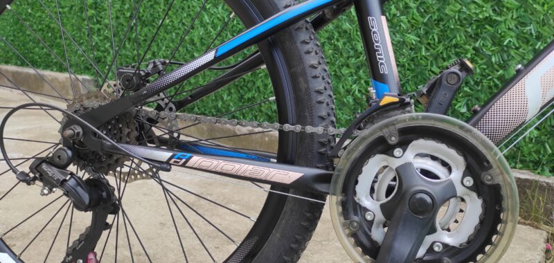 Polar Sonic 24″