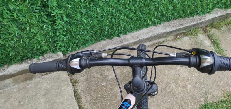 Polar Sonic 24″