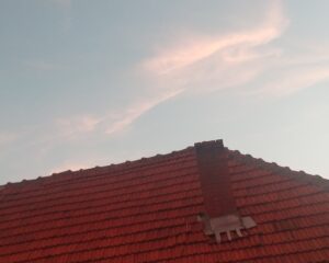 inbound519406237603684911