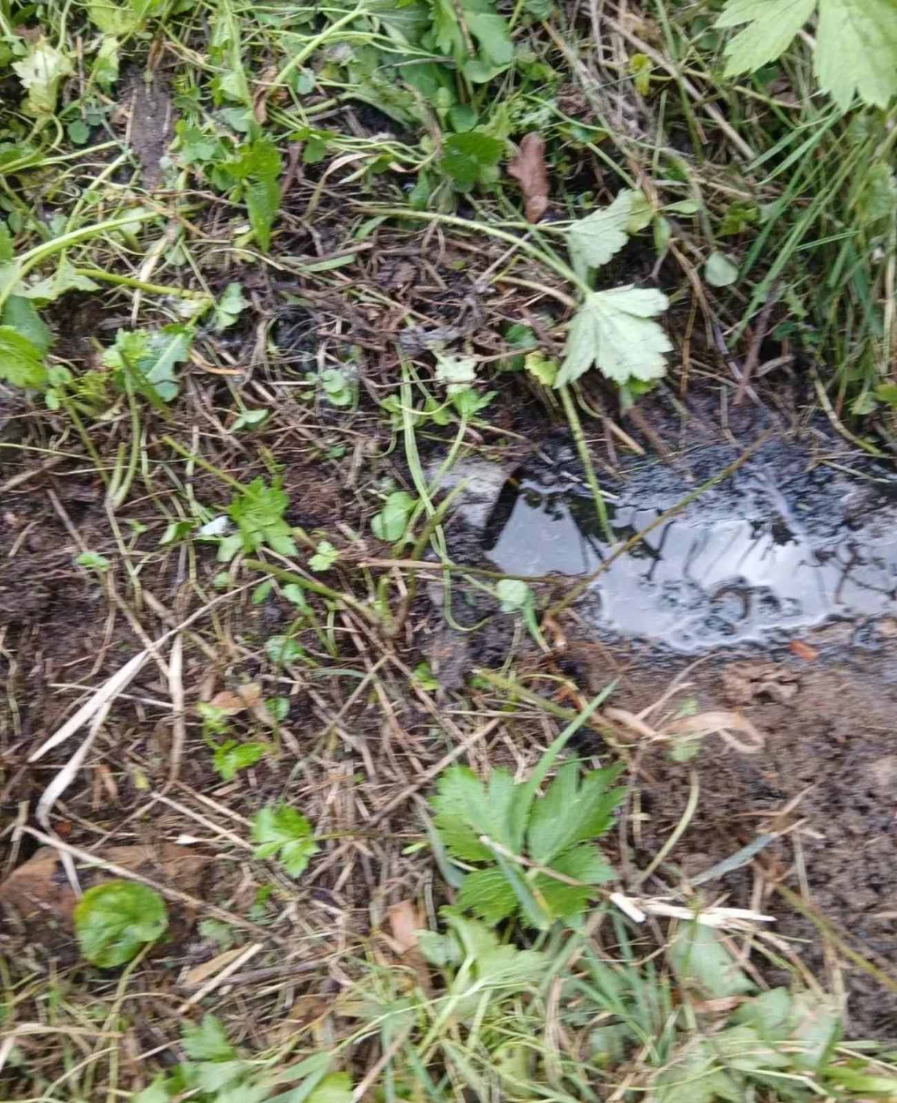 Na prodaju kuca sa zemljistem na Staroj Planini-Senokos
